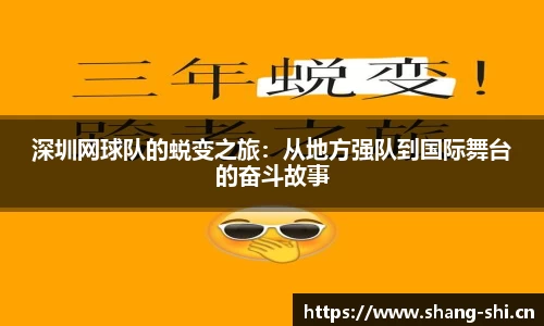 深圳网球队的蜕变之旅：从地方强队到国际舞台的奋斗故事